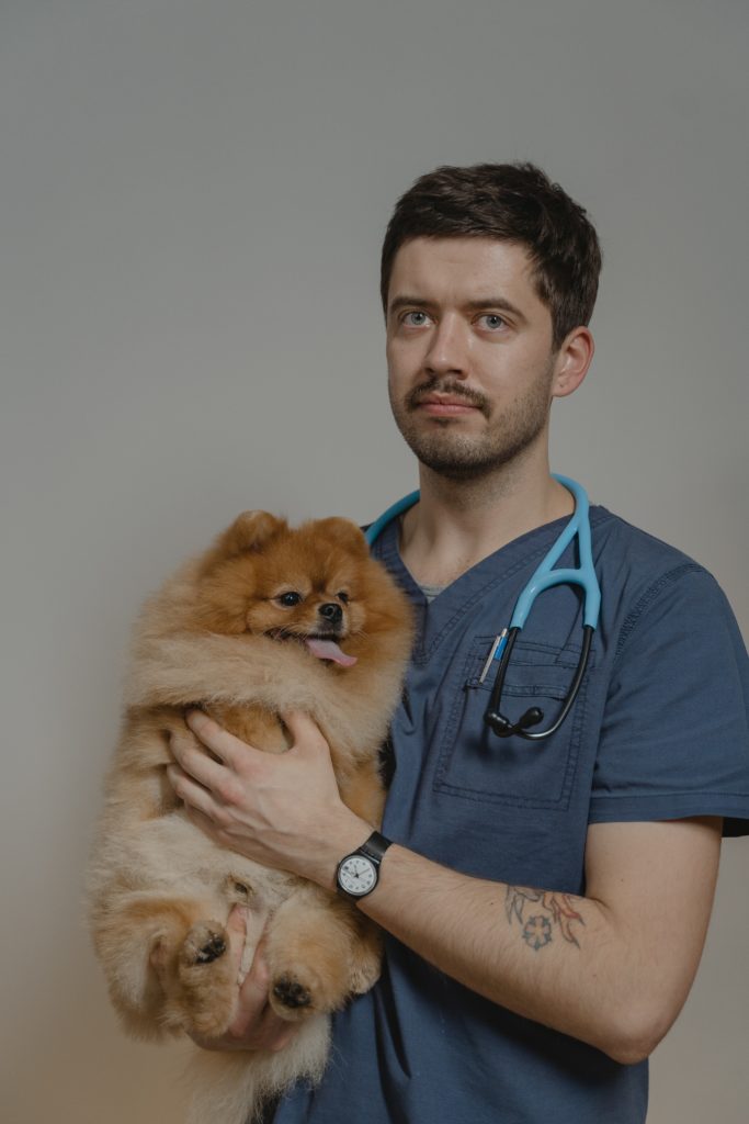 Top 10 Reasons to Become a Veterinarian