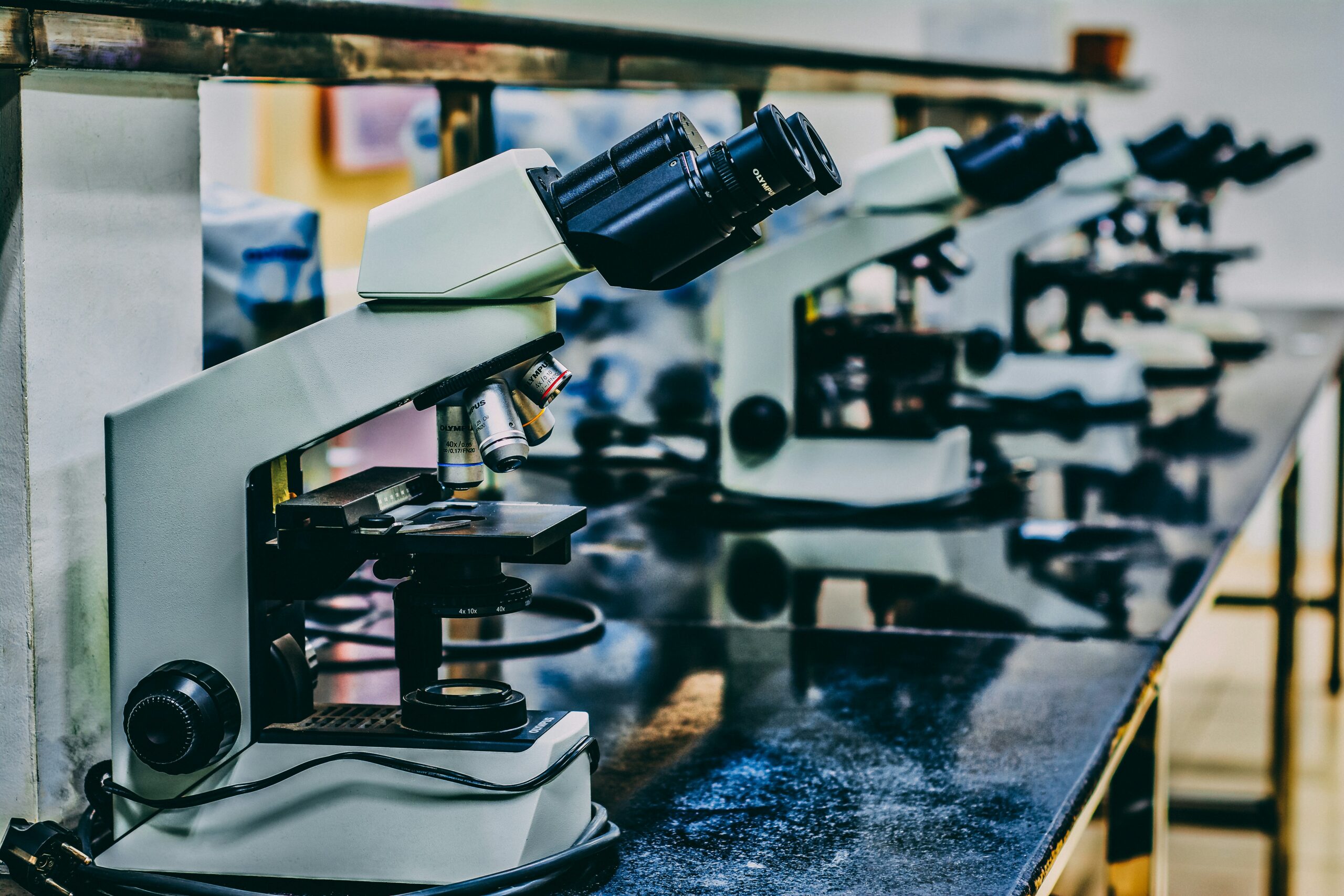 Is medical school shorter in Europe?